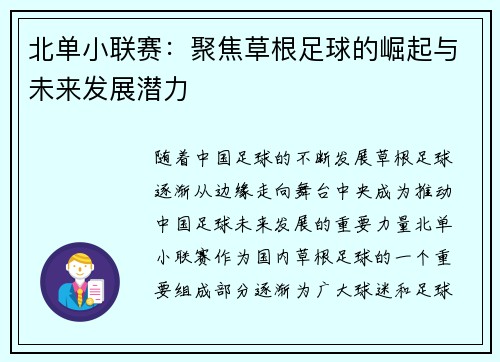 北单小联赛：聚焦草根足球的崛起与未来发展潜力